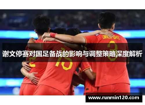 谢文停赛对国足备战的影响与调整策略深度解析 谢文停赛对国足备战的影响与调整策略深度解析
